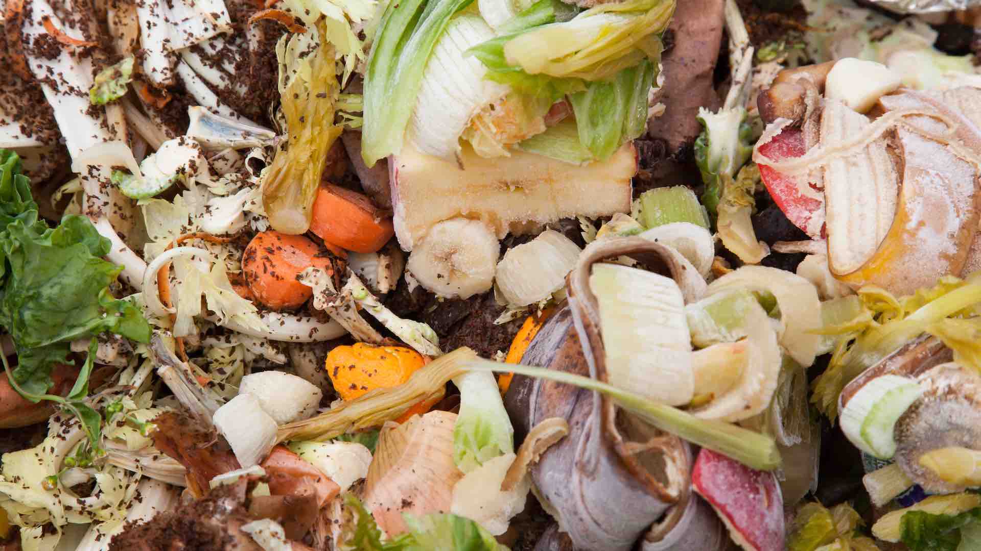 FAO highlights urgent need to address global food loss and waste ...